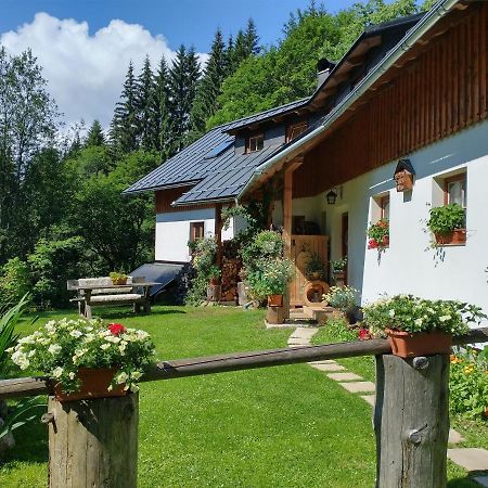 Alm-House Hollmann Apartment Železná Ruda Екстериор снимка