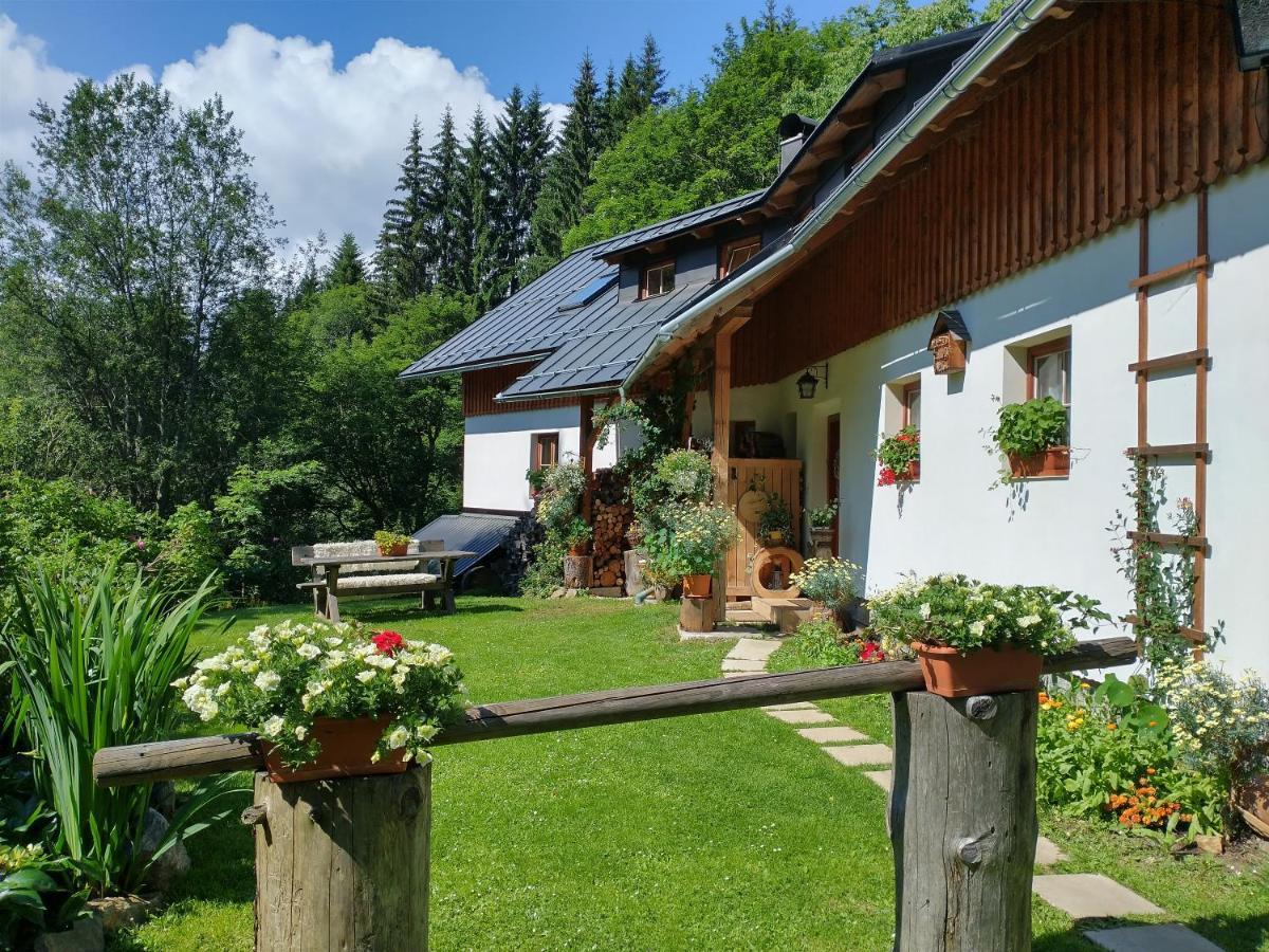 Alm-House Hollmann Apartment Železná Ruda Екстериор снимка