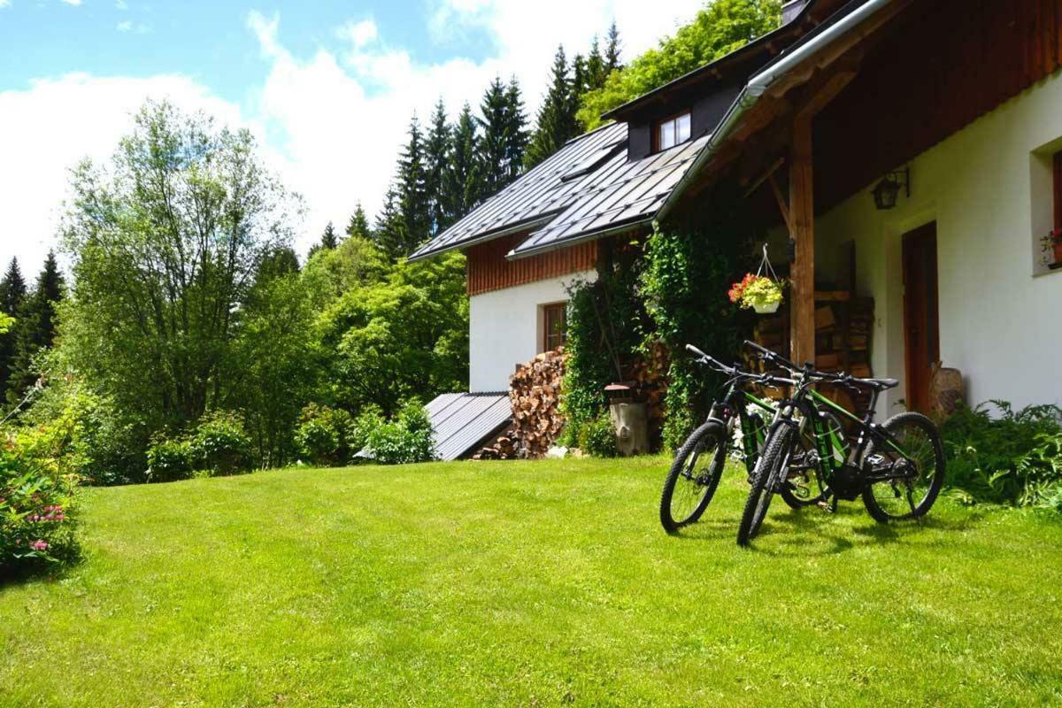 Alm-House Hollmann Apartment Železná Ruda Екстериор снимка